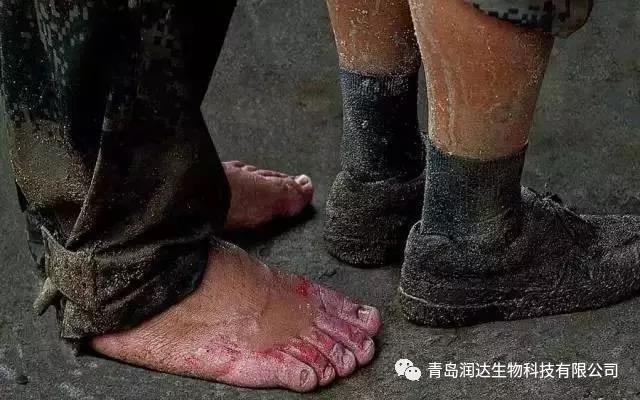  八一建军节 I 润达致敬最可爱的人