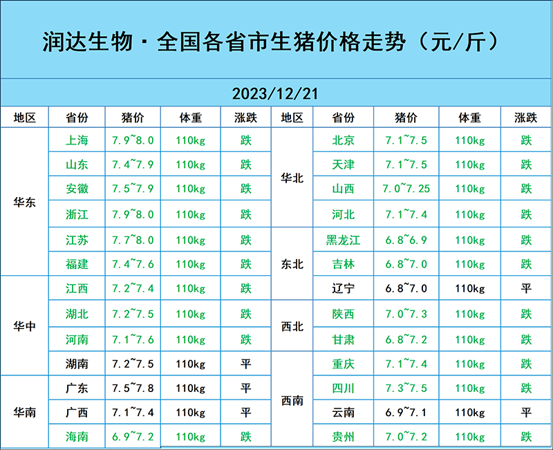 12月21日猪价行情