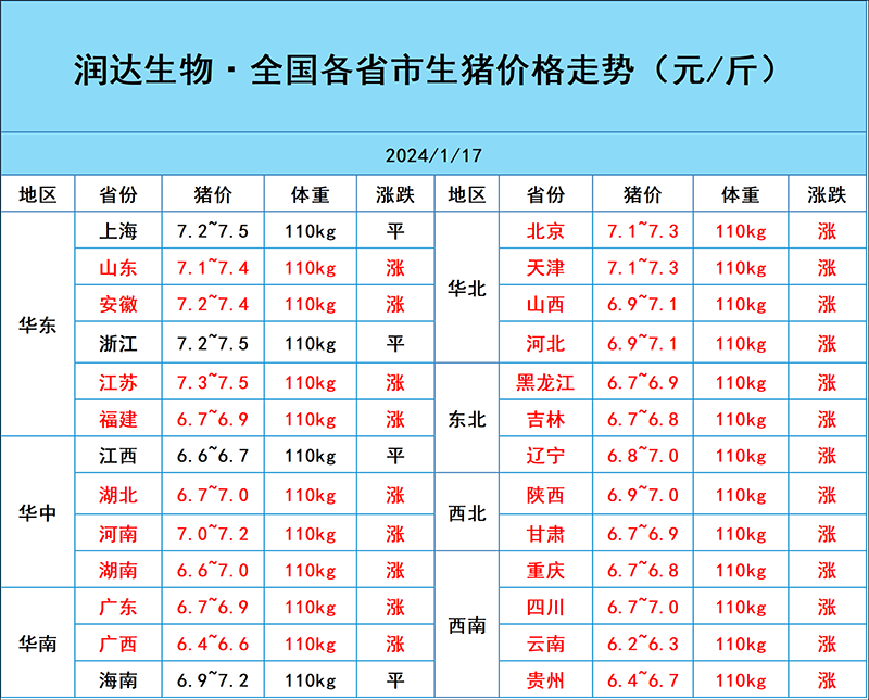 1月17日猪价行情