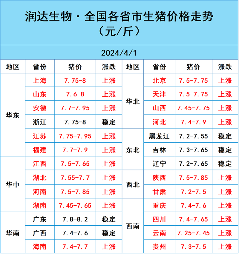 2024年4月1日明日猪价行情