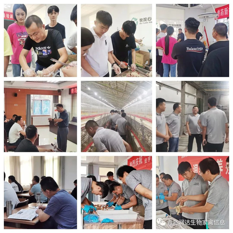 以学赋能 赓续前行||润牧康养殖学校第二期养殖培训班顺利结业！