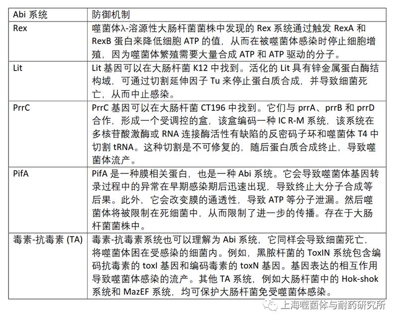 细菌进化出噬菌体流产感染（Abi）系统 