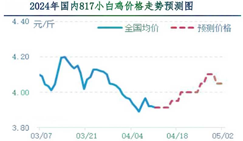 肉鸡市场下周行情预测 肉鸡市场下周行情预测