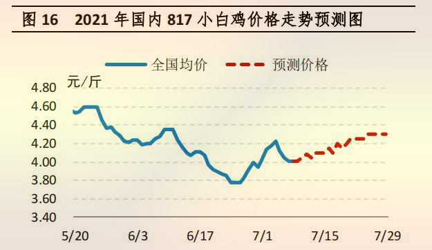 国内 817 小白鸡价格走势预测图