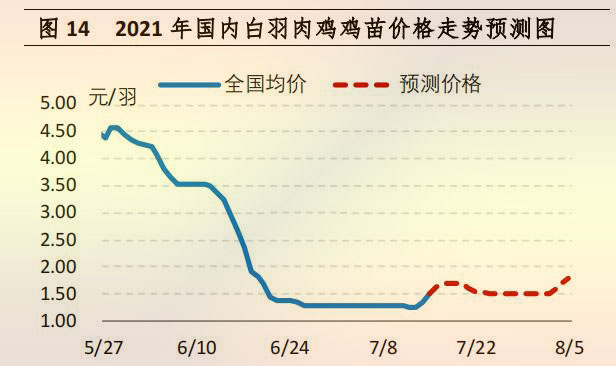 国内白羽肉鸡鸡苗价格走势预测图