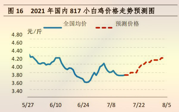 国内 817 小白鸡价格走势预测图