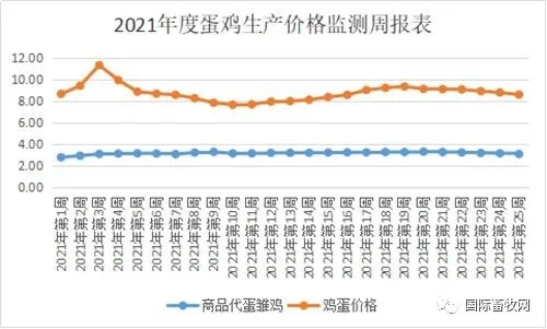 蛋鸡生产价格