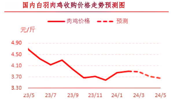 2月肉鸡市场行情分析及3月行情预测