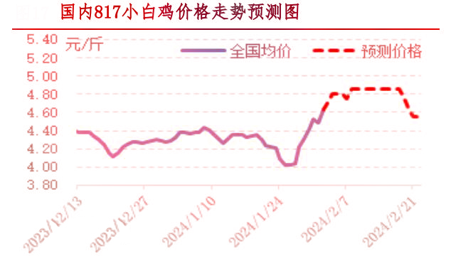 肉鸡市场行情汇总